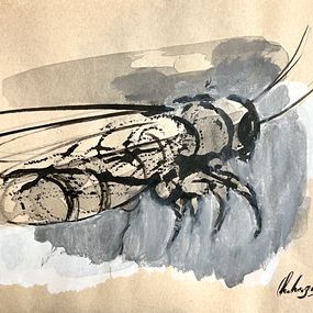 Dessin, Abeille x, Chahrazed Fekih