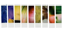 Photographie, Organism 4.4, Johana Trayanova