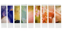 Photographie, Organism 6.4, Johana Trayanova