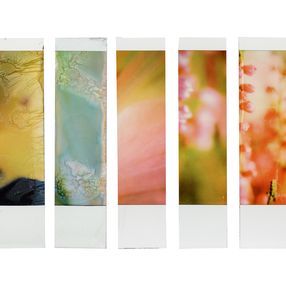Photographie, Organism 6.4, Johana Trayanova
