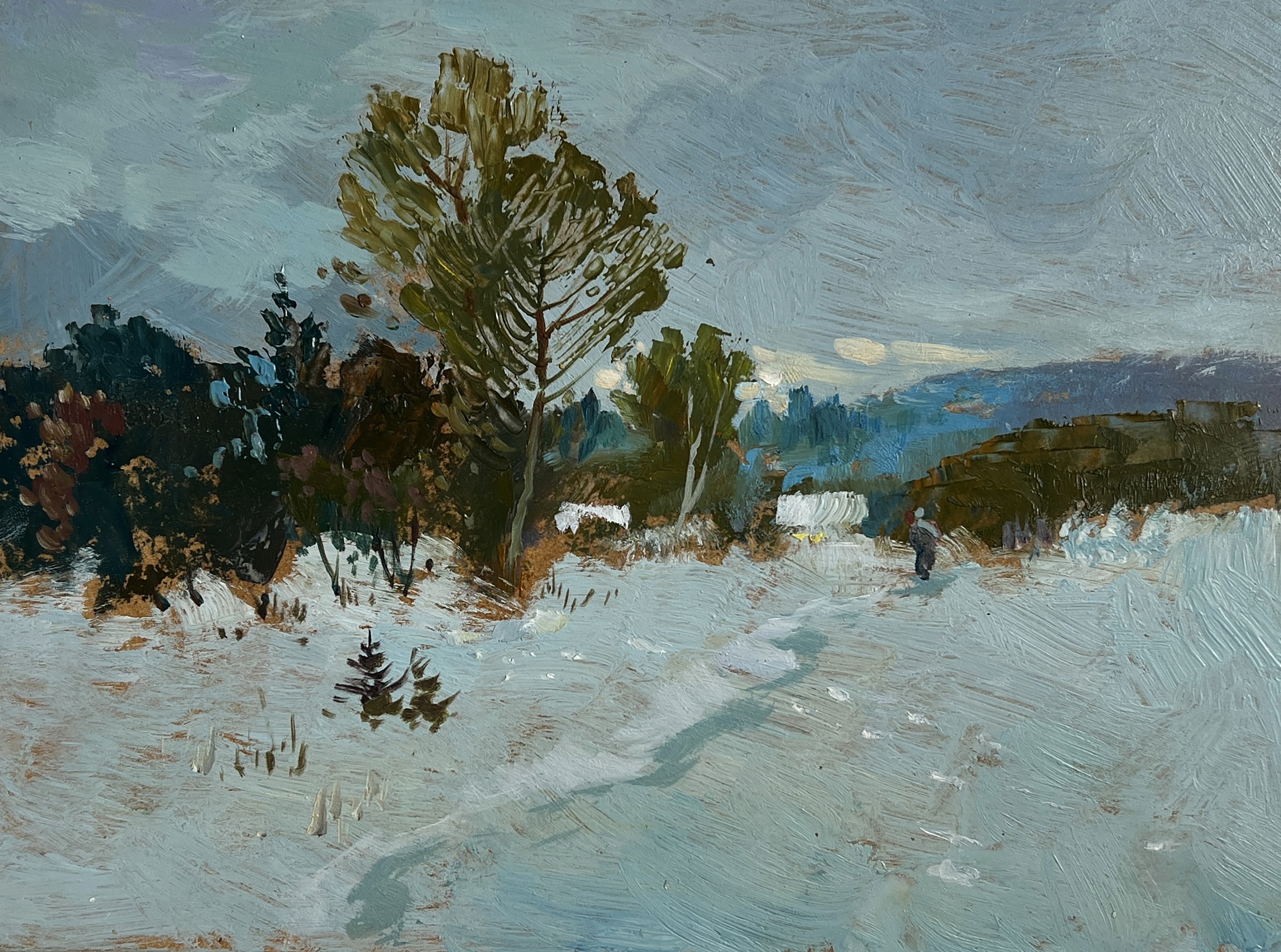 Suprunchuk Yuriy, Winter twilight Suprunchuk Yuriy, Winter twilight