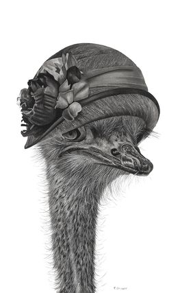 Fine Art Drawings, Tête d'autruche 3, François Gruson