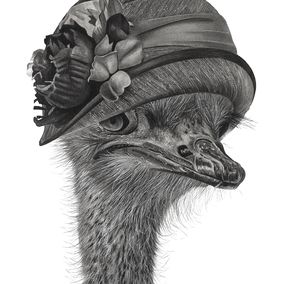 Fine Art Drawings, Tête d'autruche 3, François Gruson