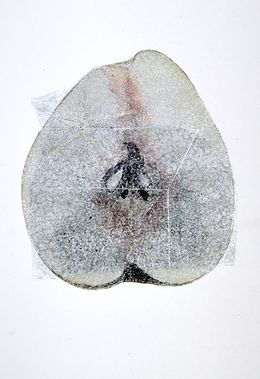 Fine Art Drawings, Home, Avishek Sen