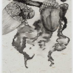 Zeichnungen, Le chêne à trois troncs n°20, Florian Song Nguyen