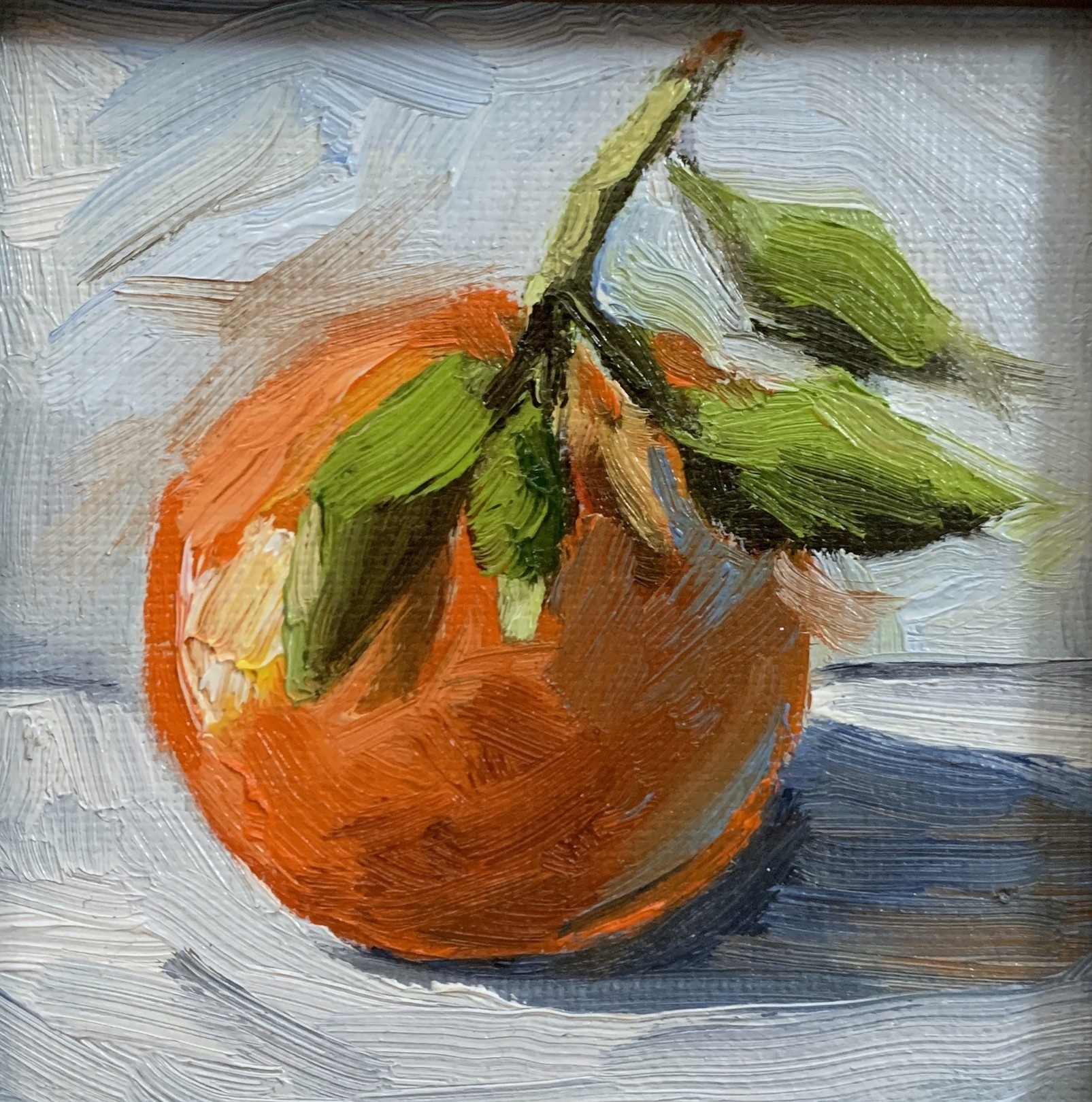 Schagen Vita, Orange fruit with leaves Schagen Vita, Orange fruit with leaves
