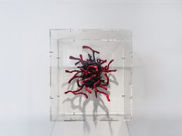 Sculpture, Magic Coral, Bouk De Roeck