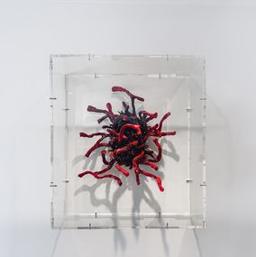 Sculpture, Magic Coral, Bouk De Roeck