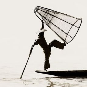 Photographie, Fish Trap, Stuart Redler