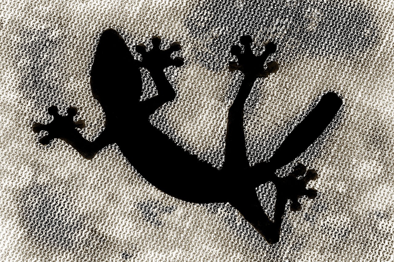 Stuart Redler, Gecko Stuart Redler, Gecko