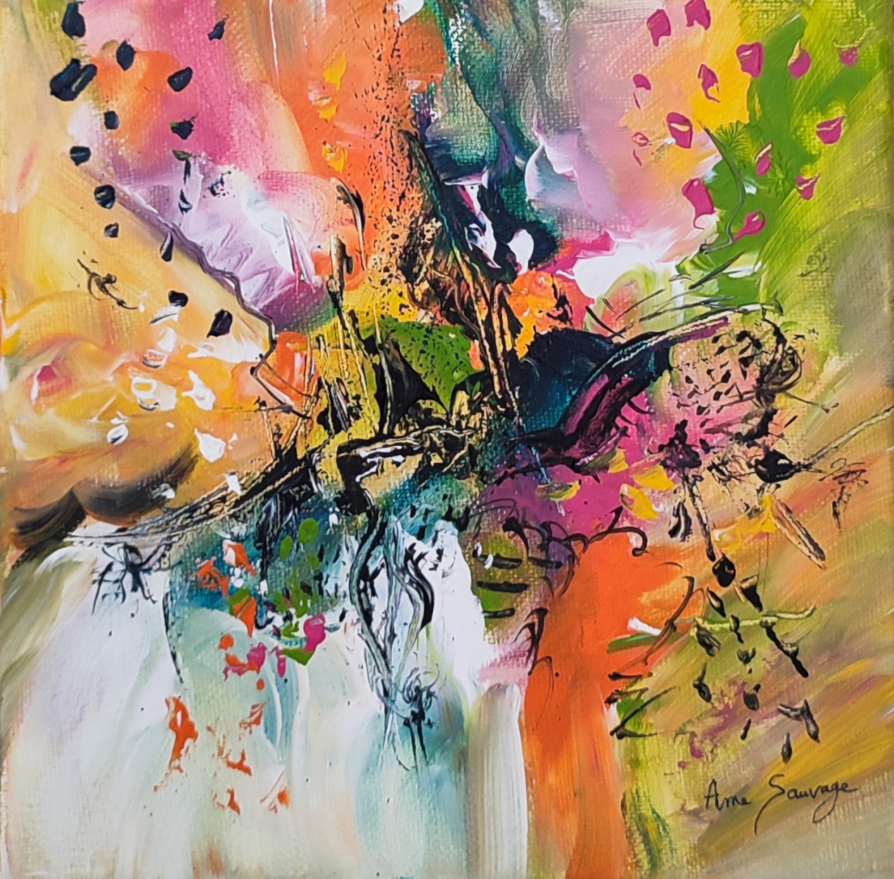 Âme Sauvage, Le vaisseau imaginaire Âme Sauvage, Le vaisseau imaginaire
