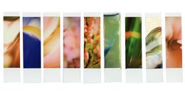Photographie, Organism 4.3, Johana Trayanova