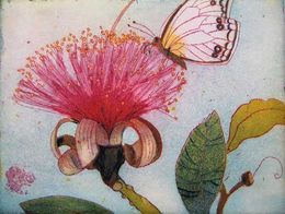 Print, Naschender Schmetterling, Jutta Votteler