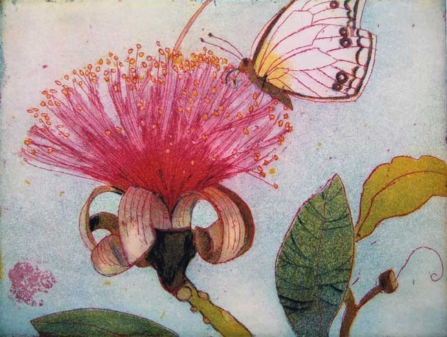 Jutta Votteler, Naschender Schmetterling Jutta Votteler, Naschender Schmetterling