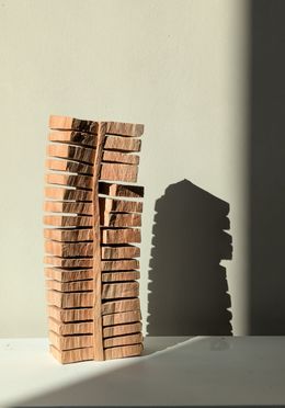 Sculpture, Pas 02.23, Yves Tilly