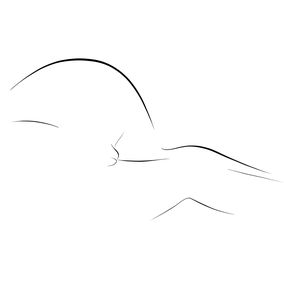 Print, Le Cygne, Yves Pero