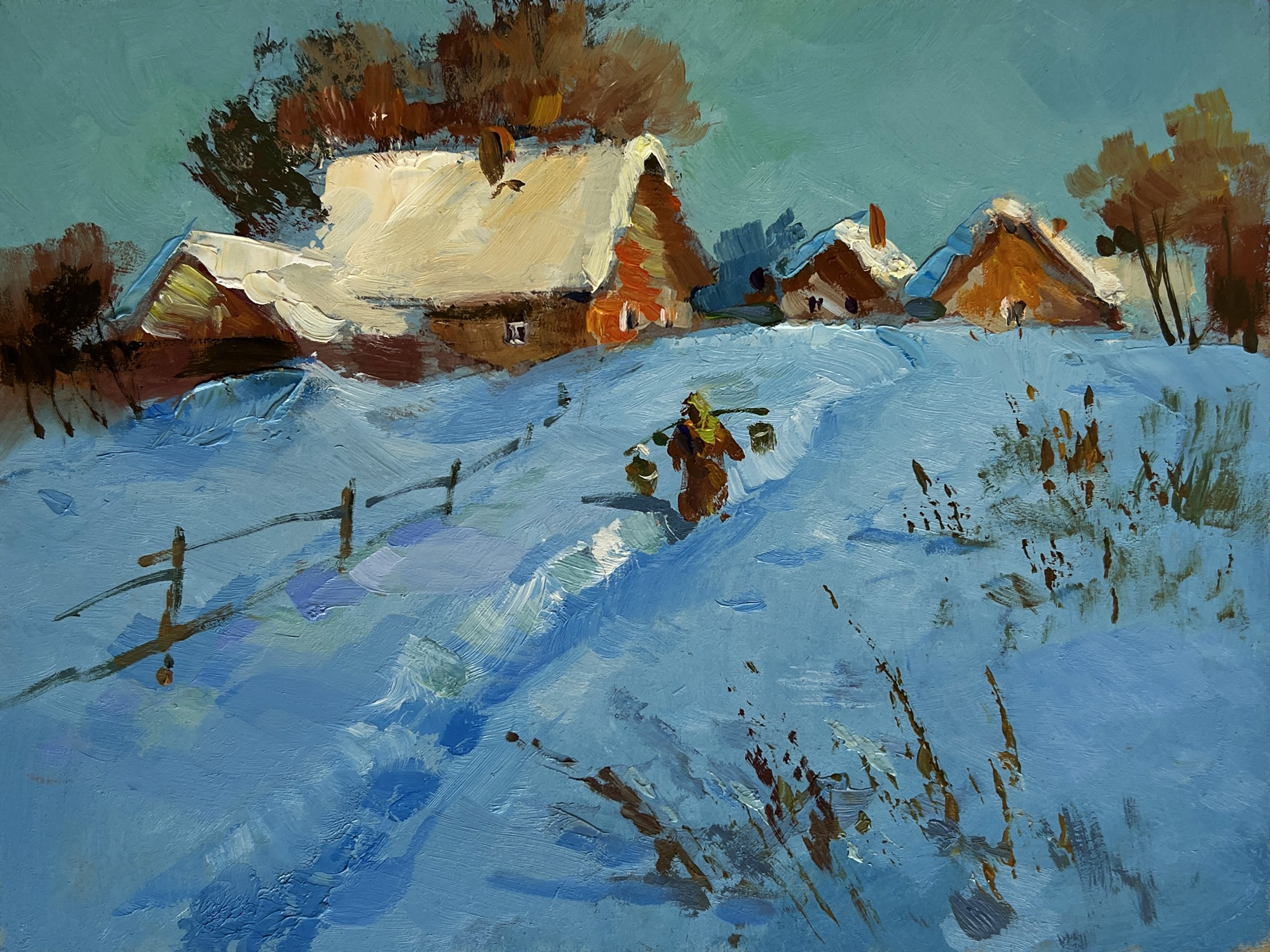 Suprunchuk Yuriy, Snowy path in the village Suprunchuk Yuriy, Snowy path in the village