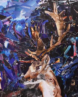 Peinture, Lord of the woods, Appaloosa