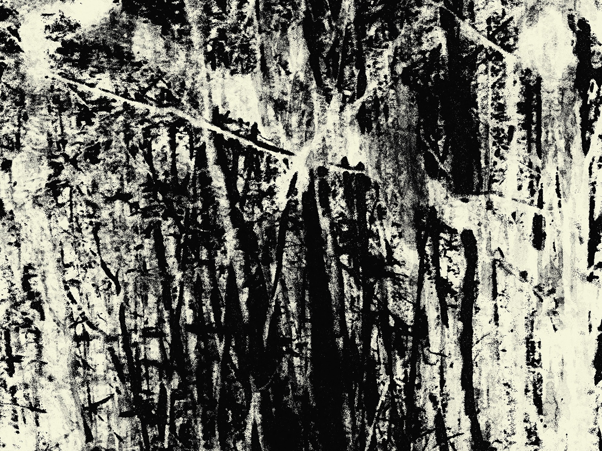 Petr Strnad, Timeless Shadows 1. Petr Strnad, Timeless Shadows 1.