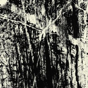 Photography, Timeless Shadows 1., Petr Strnad