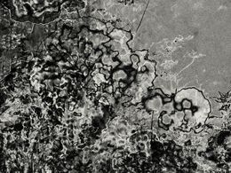 Photography, Timeless Shadows 2., Petr Strnad