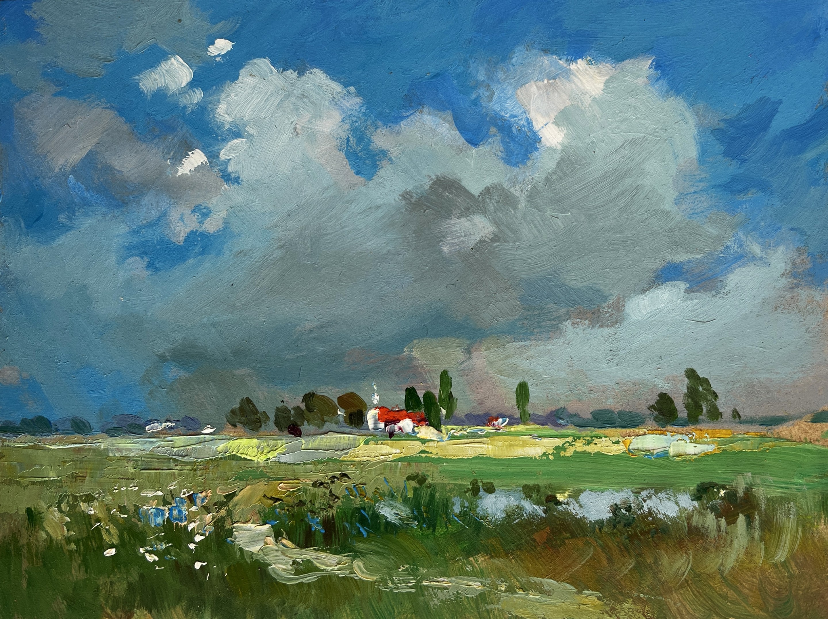 Suprunchuk Yuriy, Walk through the meadows Suprunchuk Yuriy, Walk through the meadows
