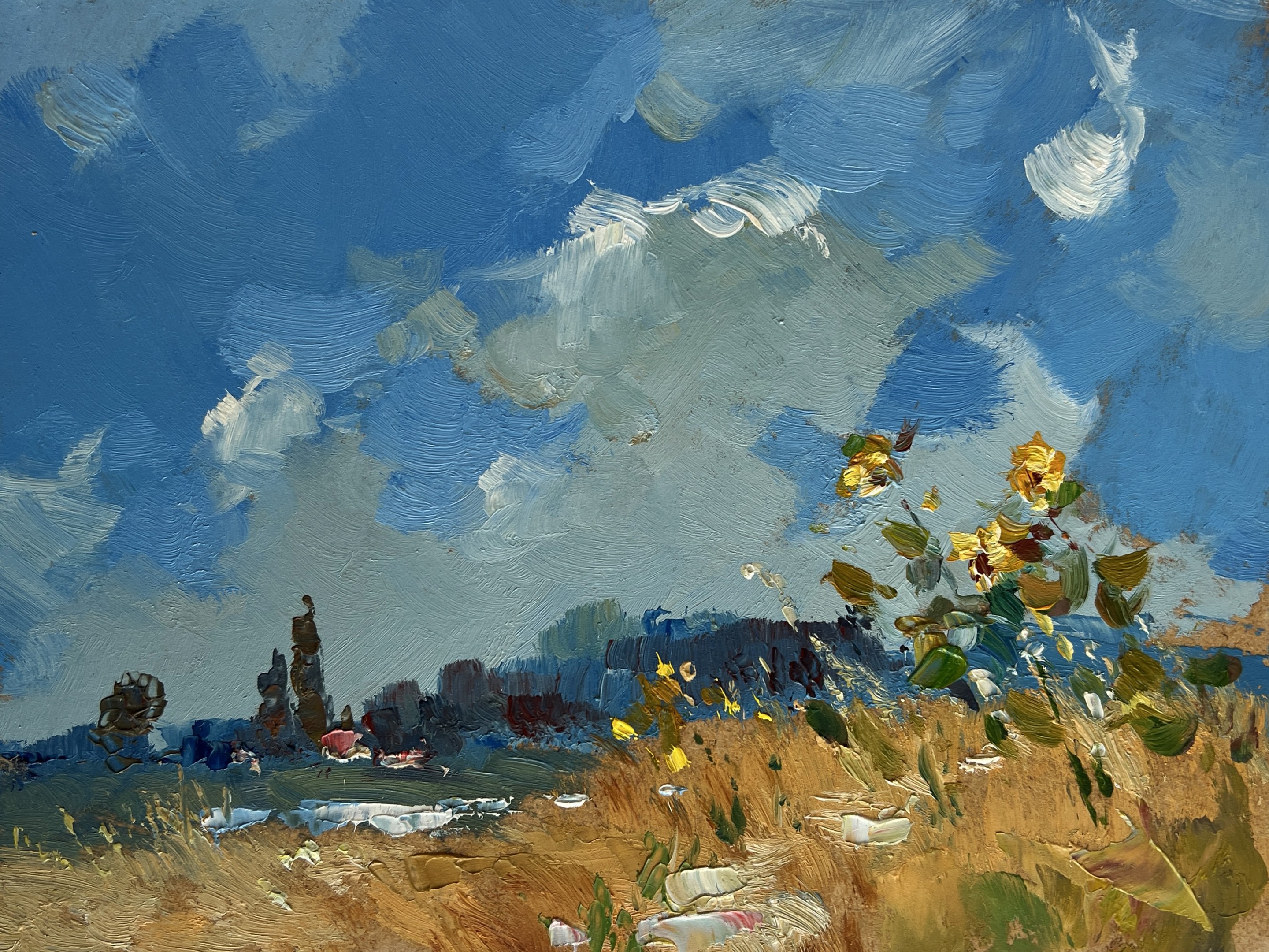 Suprunchuk Yuriy, Sunflowers reach for the sky Suprunchuk Yuriy, Sunflowers reach for the sky