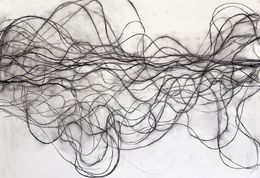 Fine Art Drawings, Sequestor, Margaret Neill