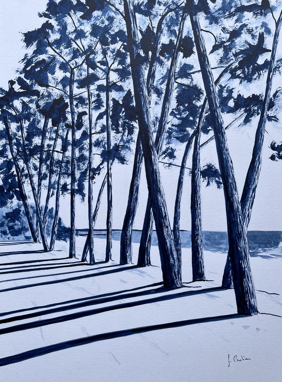 Frédéric Cadiou, Avenue du Cap Coz Frédéric Cadiou, Avenue du Cap Coz