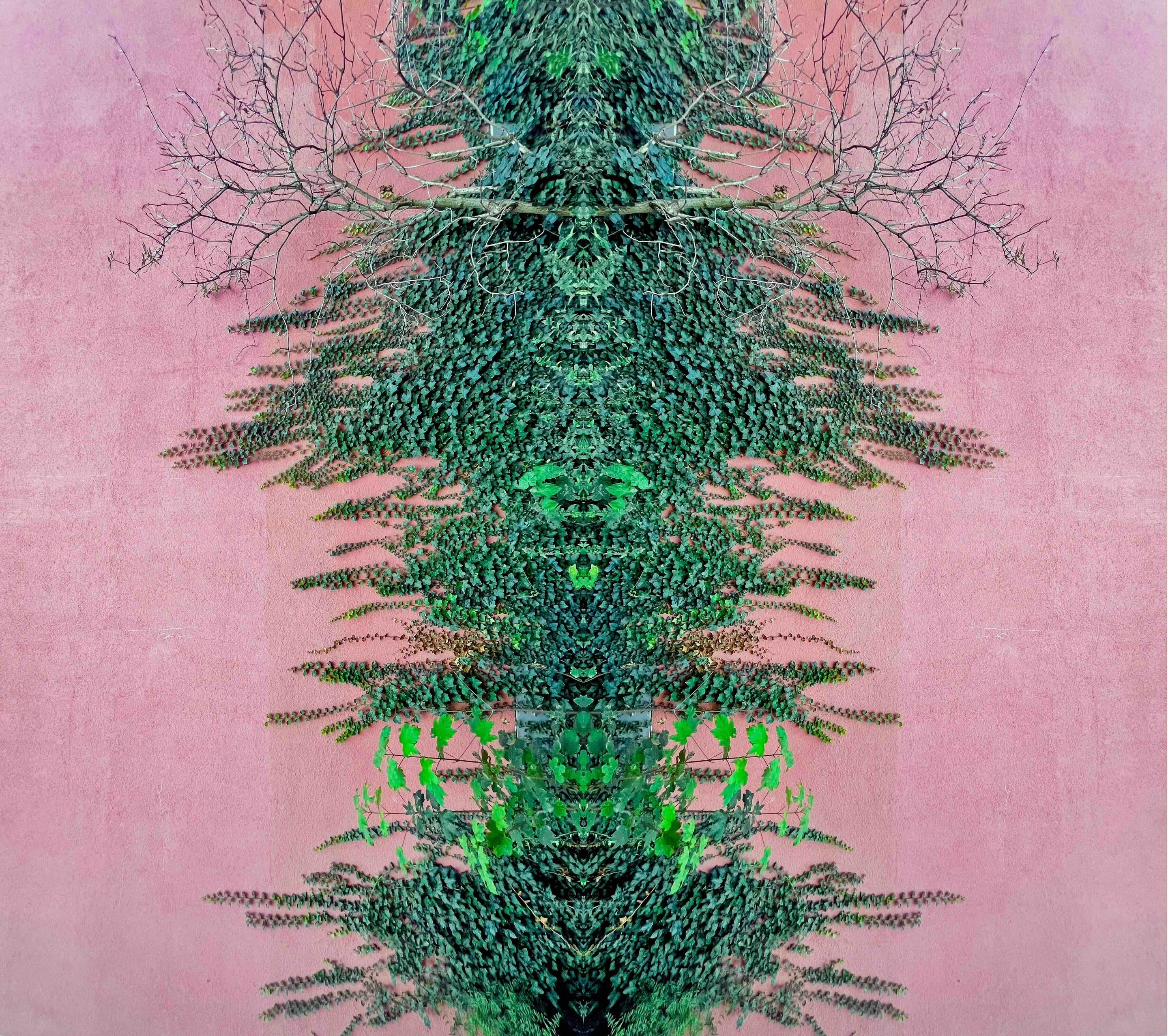Sumit Mehndiratta, Root Reverse Sumit Mehndiratta, Root Reverse