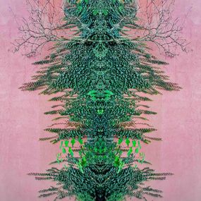 Drucke, Root Reverse, Sumit Mehndiratta