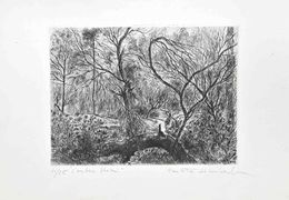 Drucke, L'Arbre Blessé, Paulette Humbert