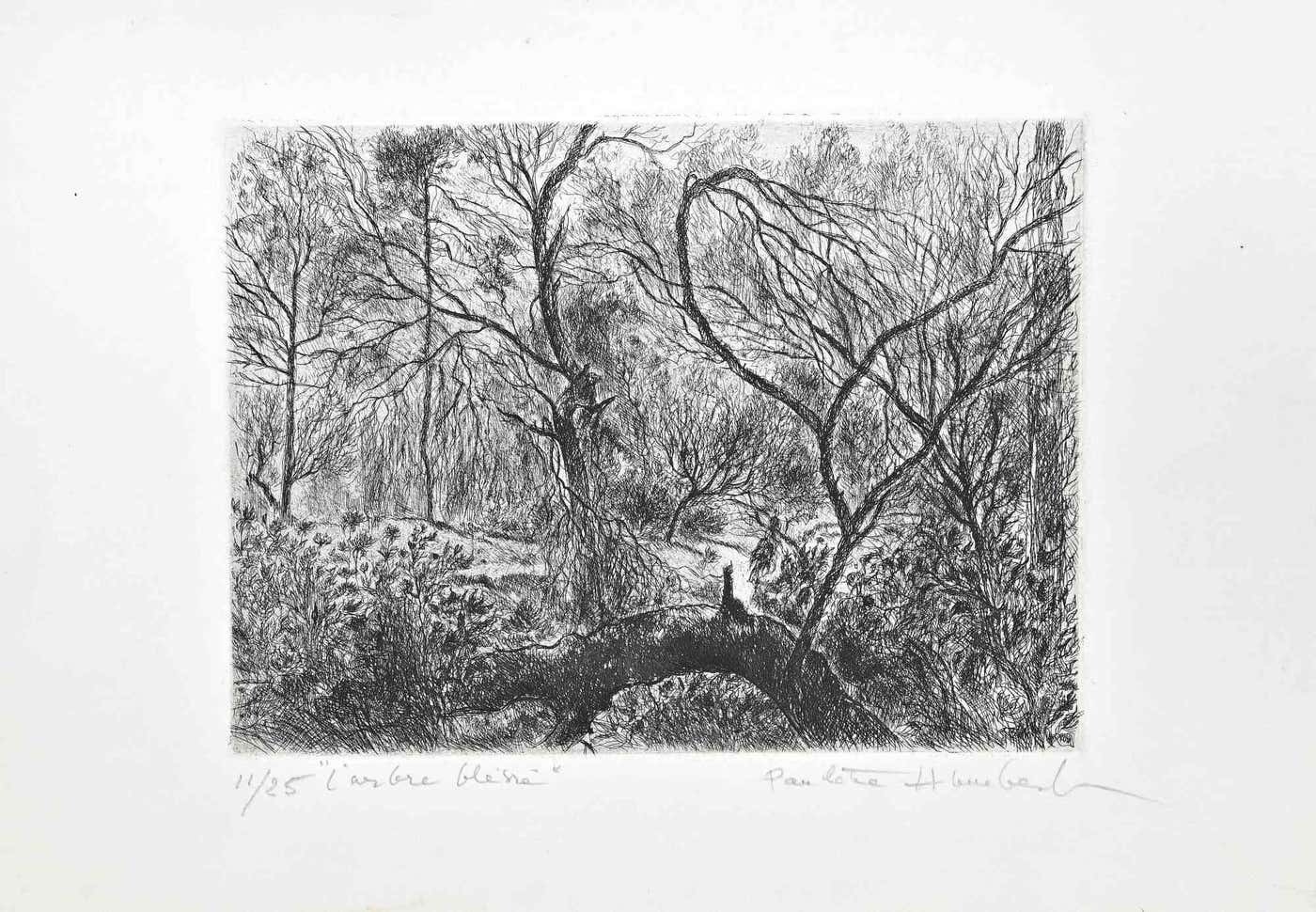 Paulette Humbert, L'Arbre Blessé Paulette Humbert, L'Arbre Blessé