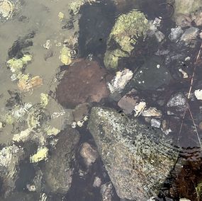 Photography, Stones in water, Mikaela Olovsson