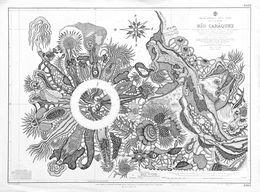 Fine Art Drawings, La rose des vents, Evelyne Postic