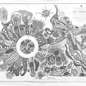 Fine Art Drawings, La rose des vents, Evelyne Postic