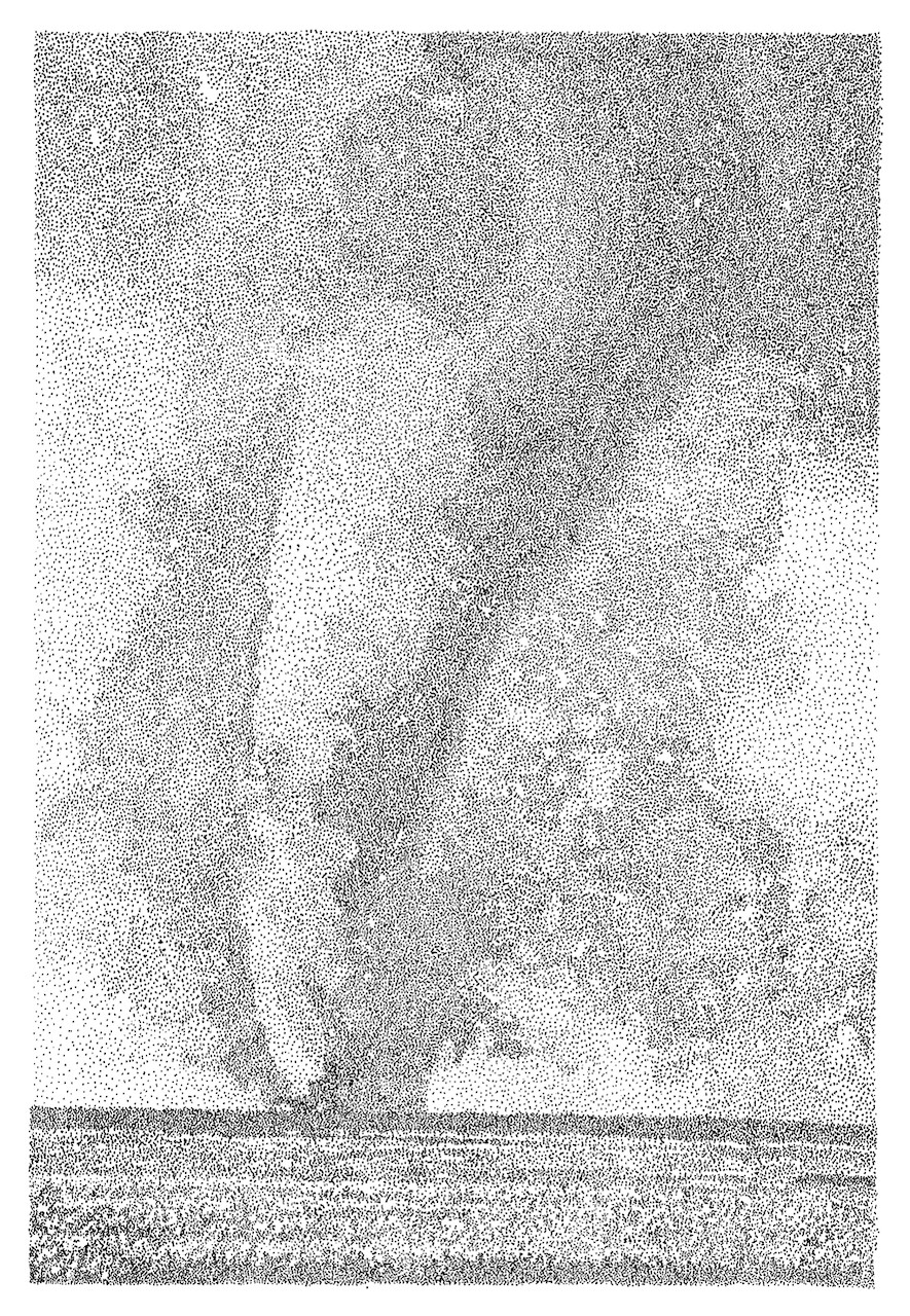 Rebecca Brueder, Tornade, Lousianne Rebecca Brueder, Tornade, Lousianne