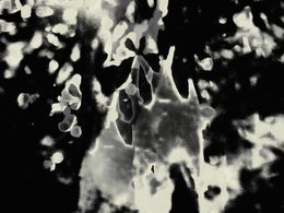 Photography, Timeless Shadows 3., Petr Strnad