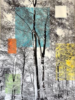 Photographie, Forêt Enchantée, Victoire d'Harcourt