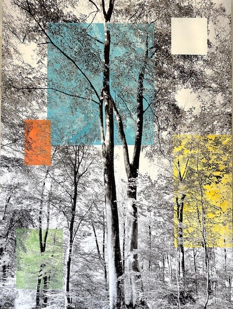 Victoire d'Harcourt, Forêt Enchantée Victoire d'Harcourt, Forêt Enchantée