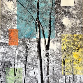 Photography, Forêt Enchantée, Victoire d'Harcourt