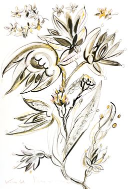 Zeichnungen, Floral Flamenco, Kirill Postovit