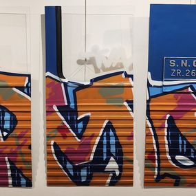Pittura, Les bleus de St Laz Remo 1997, Babs