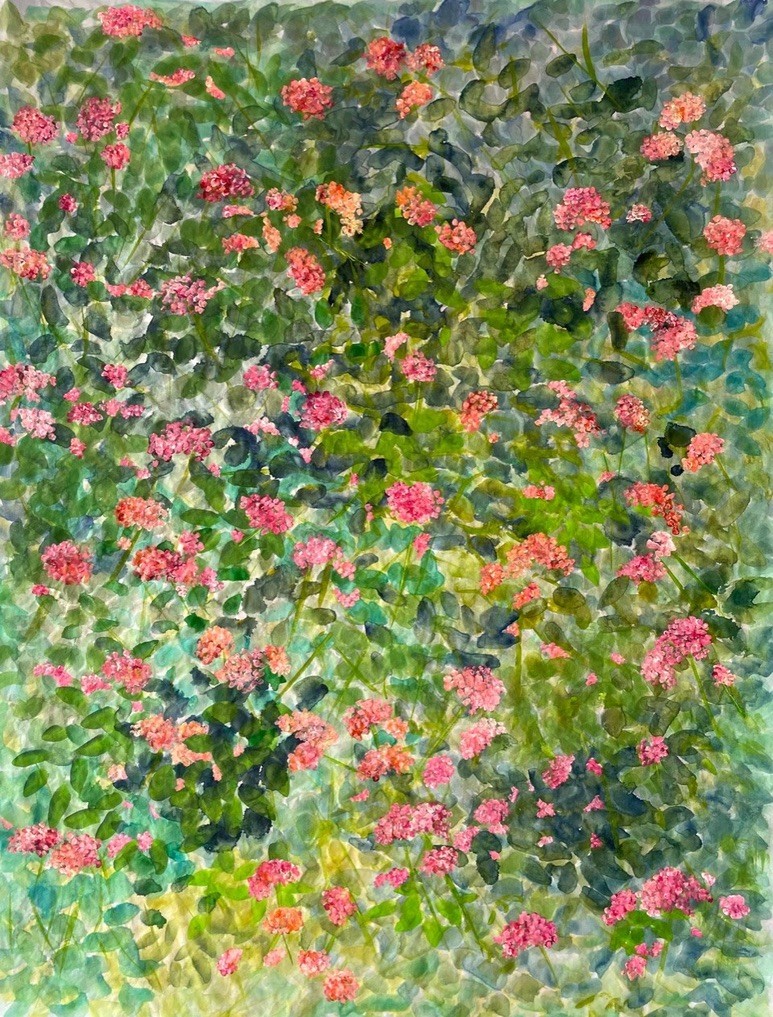 Agnès Jennepin, Lantanas Agnès Jennepin, Lantanas