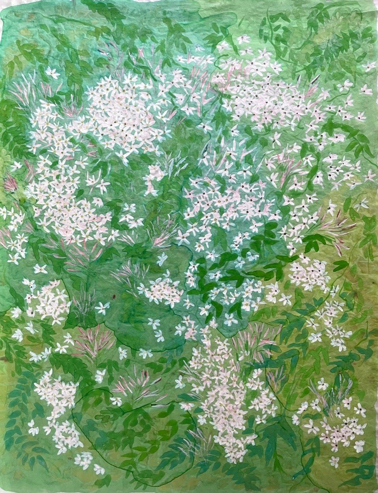 Agnès Jennepin, Etoiles de jasmin Agnès Jennepin, Etoiles de jasmin