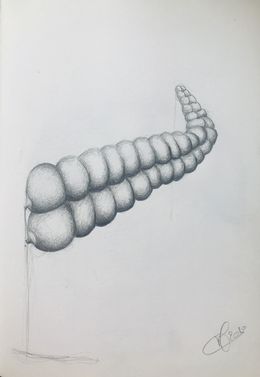 Zeichnungen, Numéro 5, Olivia Moélo