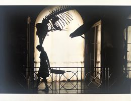 Fotografien, Philip Bernard, Philip Bernard