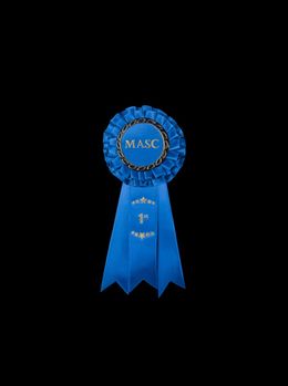 Painting, Congratulations!, Ian Stone