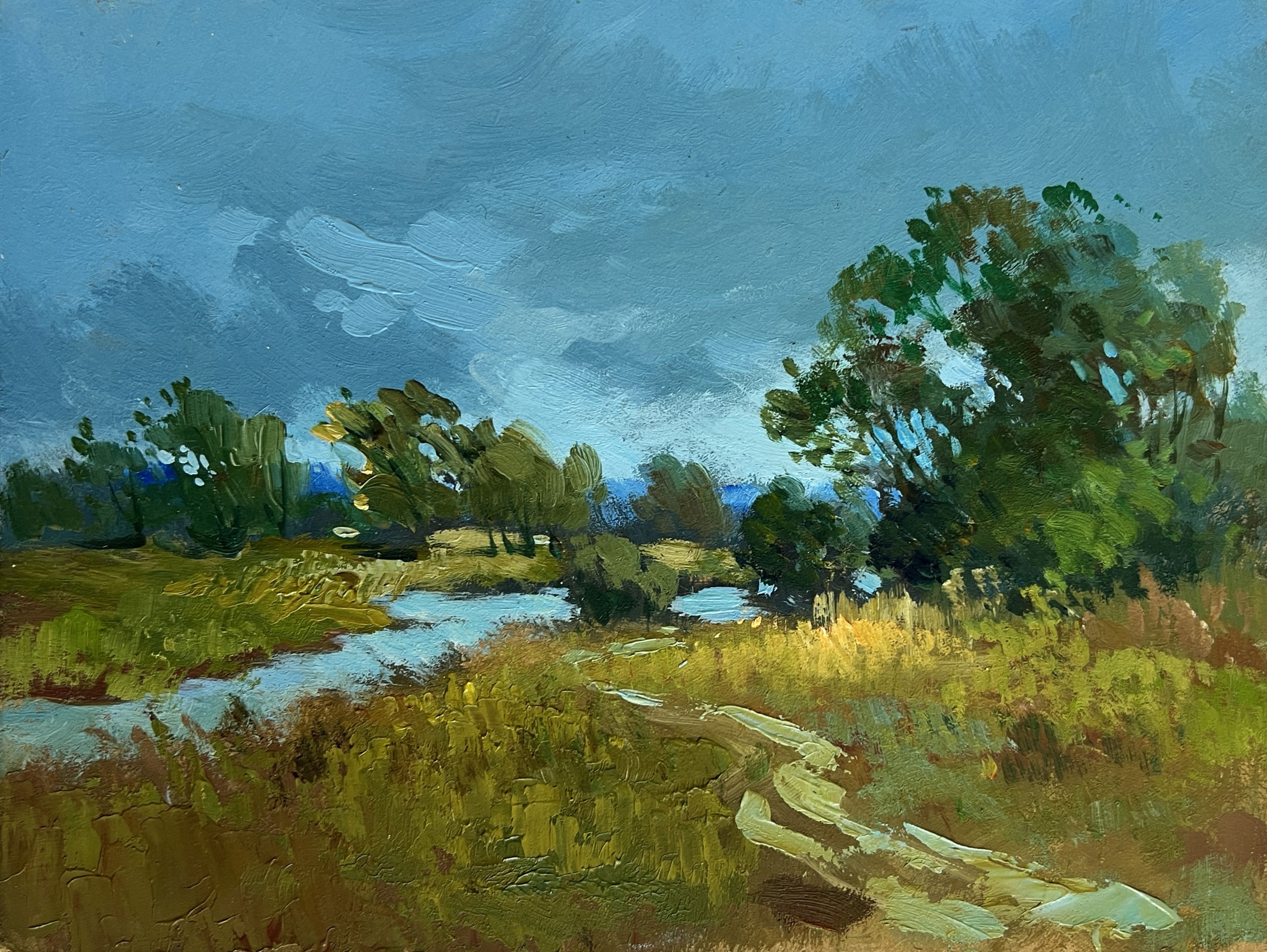 Suprunchuk Yuriy, A small flood of the river Suprunchuk Yuriy, A small flood of the river