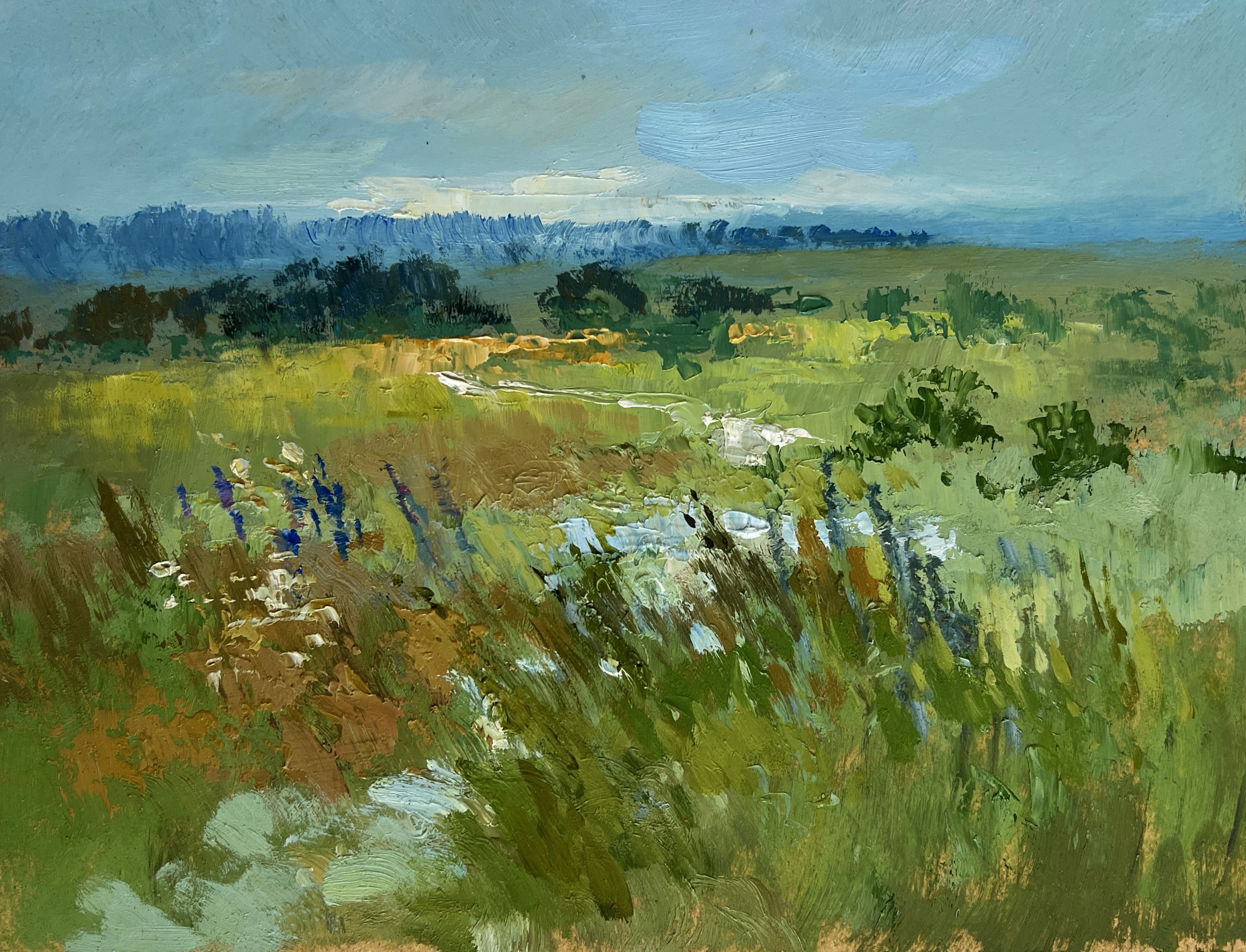 Suprunchuk Yuriy, On the summer flower meadows Suprunchuk Yuriy, On the summer flower meadows